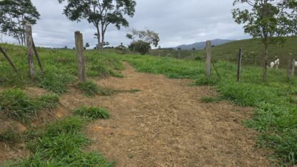 Fazenda a venda em Ilhéus Apuarana