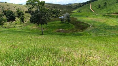 Fazenda a venda em Ilhéus Apuarana