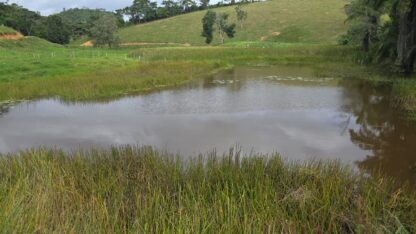 Fazenda a venda em Ilhéus Apuarana