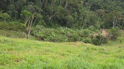 Fazenda a venda em Ilhéus Apuarana