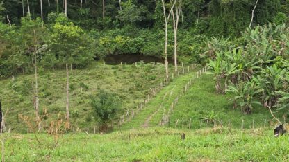 Fazenda a venda em Ilhéus Apuarana