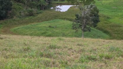 Fazenda a venda em Ilhéus Apuarana