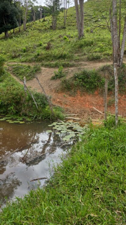 Fazenda a venda em Ilhéus Apuarana