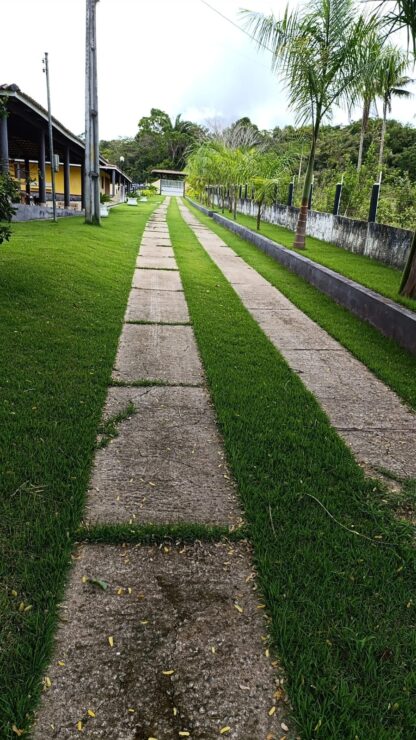 Fazenda a venda em Ilhéus Apuarana