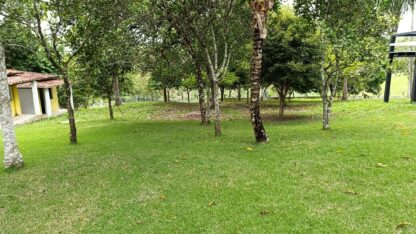 Fazenda a venda em Ilhéus Apuarana