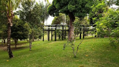 Fazenda a venda em Ilhéus Apuarana
