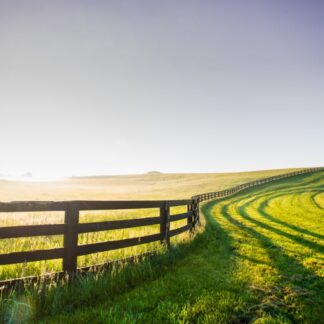 Fazenda a venda em Ilhéus