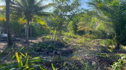 Terreno a venda em Ilhéus SIRIHYBA