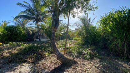 Terreno a venda em Ilhéus SIRIHYBA
